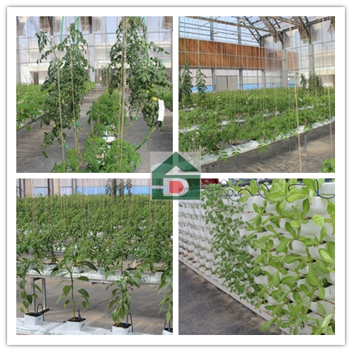 ʢ��Դ�r(n��ng)�I(y��)�r��