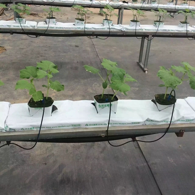 ʢ��Դ�r(n��ng)�I(y��)�r��