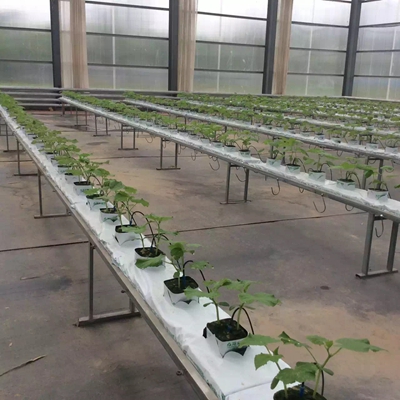 ʢ��Դ�r(n��ng)�I(y��)�r��