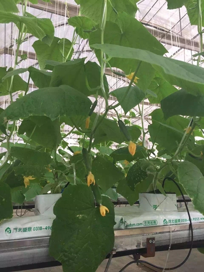 ʢ��Դ�r(n��ng)�I(y��)�r��