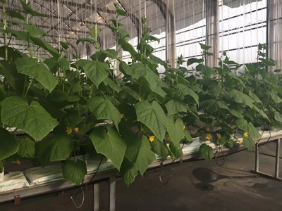 ʢ��Դ�r(n��ng)�I(y��)�r��