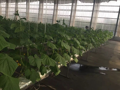 ʢ��Դ�r(n��ng)�I(y��)�r��