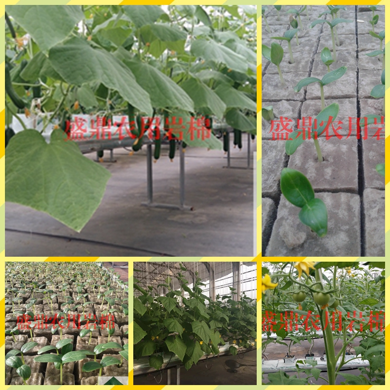 ʢ���r(n��ng)�Îr��