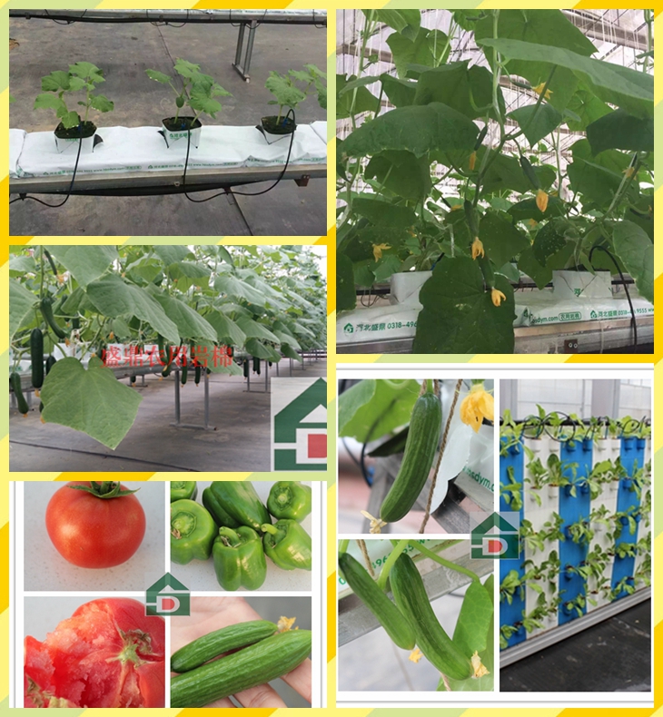 ʢ���r(n��ng)�Îr��