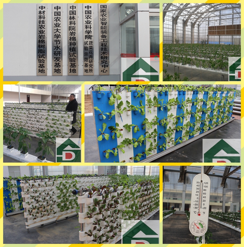 ʢ���r(n��ng)�Îr��