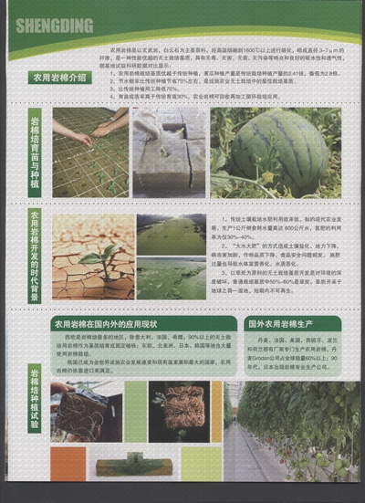 ʢ���r(n��ng)�Îr��