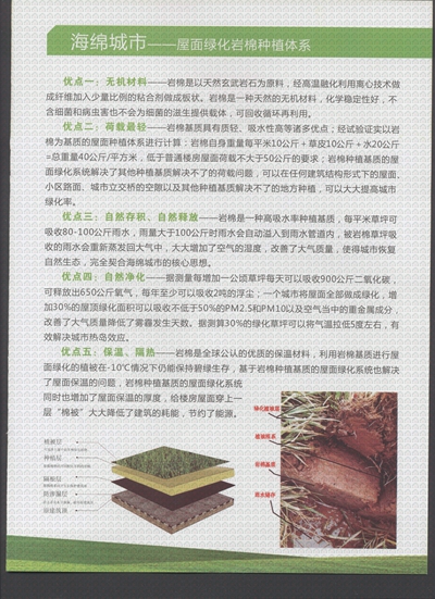 ���d����֮�r���c�G���Nֲ