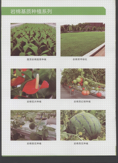 ���d����֮�r���c�G���Nֲ