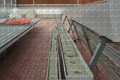 �r(n��ng)�Îr�����߷Nֲ