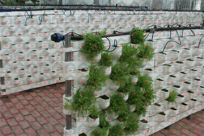 ʢ���r(n��ng)�Îr�ތ�(sh��)�(y��n)���،�(sh��)��