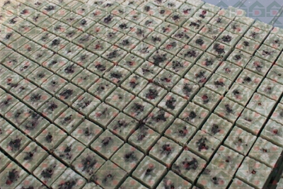 ʢ���r(n��ng)�Îr�ތ�(sh��)�(y��n)���،�(sh��)��