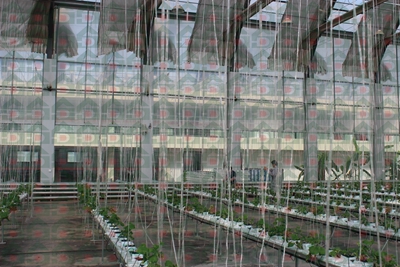 ʢ���r(n��ng)�Îr�ތ�(sh��)�(y��n)���،�(sh��)��