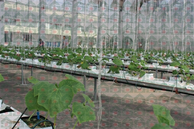 ʢ���r(n��ng)�Îr�ތ�(sh��)�(y��n)���،�(sh��)��