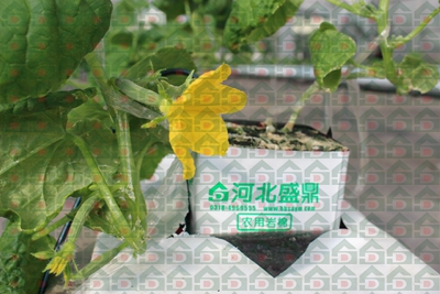 ʢ���r(n��ng)�Îr�ތ�(sh��)�(y��n)���،�(sh��)��