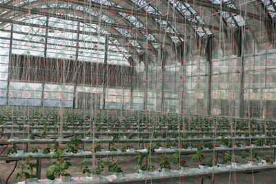 ʢ���r(n��ng)�Îr�ތ�(sh��)�(y��n)���،�(sh��)��