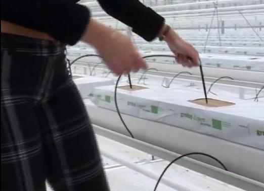 �r(n��ng)�Îr�ޑ���