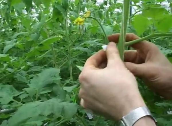 �r(n��ng)�Îr�ޑ���