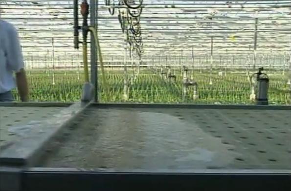 �r(n��ng)�Îr�ޑ���