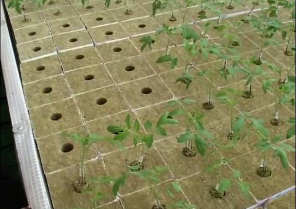 �r(n��ng)�Îr�ޑ���