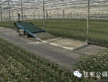 �r(n��ng)�Îr�ޑ���