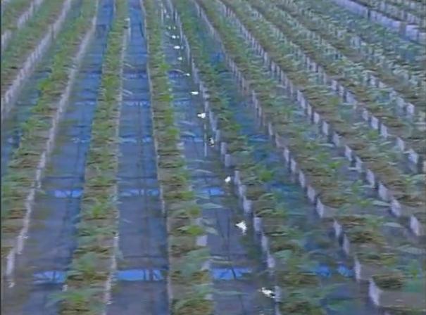 �r(n��ng)�Îr�ޑ���