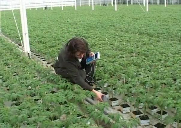 �r(n��ng)�Îr�ޑ���