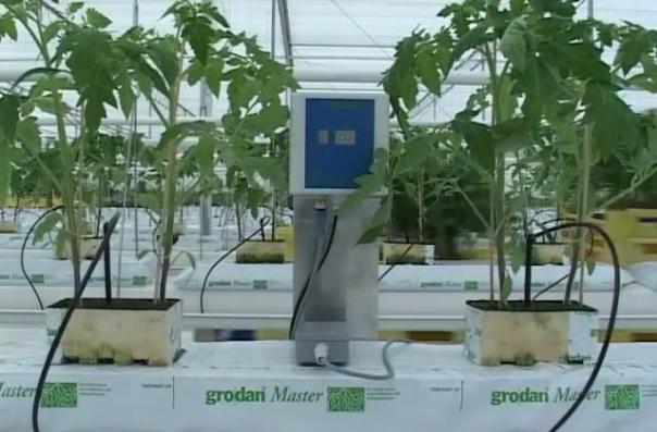 �r(n��ng)�Îr�ޑ���