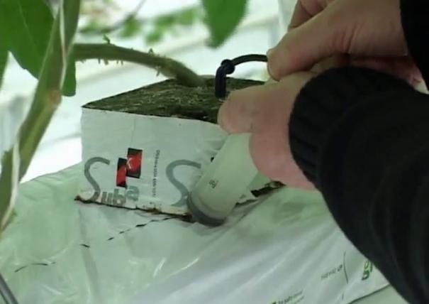 �r(n��ng)�Îr�ޑ���