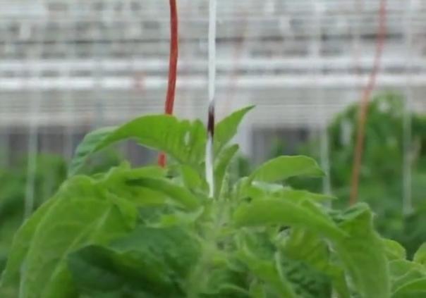 �r(n��ng)�Îr�ޑ���