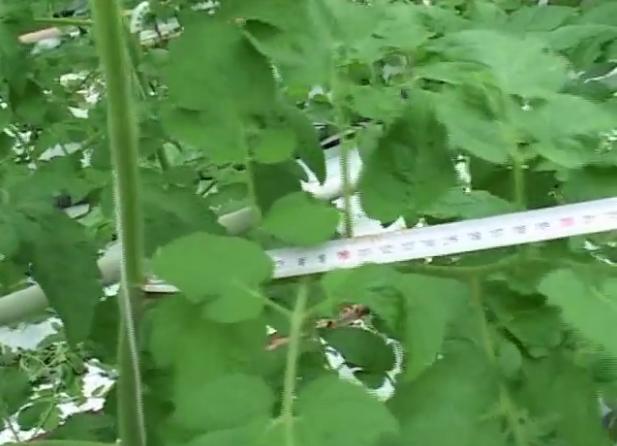 �r(n��ng)�Îr�ޑ���