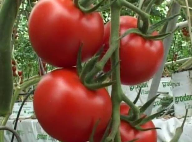 �r(n��ng)�Îr�ޑ���