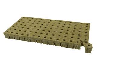 �r������