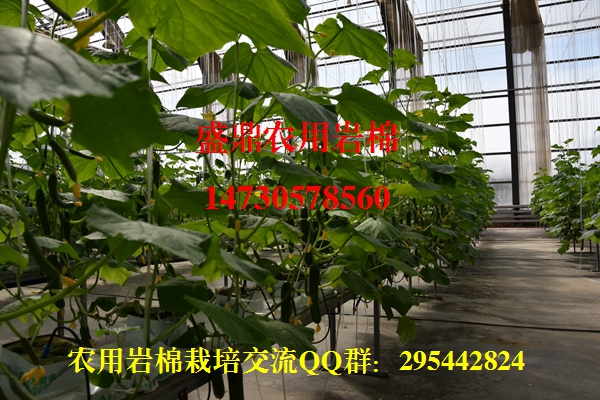 �r(n��ng)�Îr������ɹ�չʾ