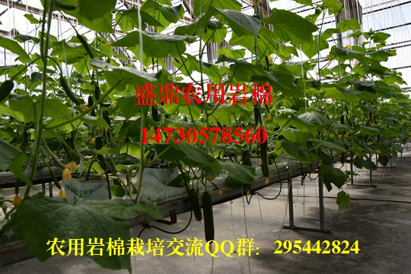 �r(n��ng)�Îr������ɹ�չʾ