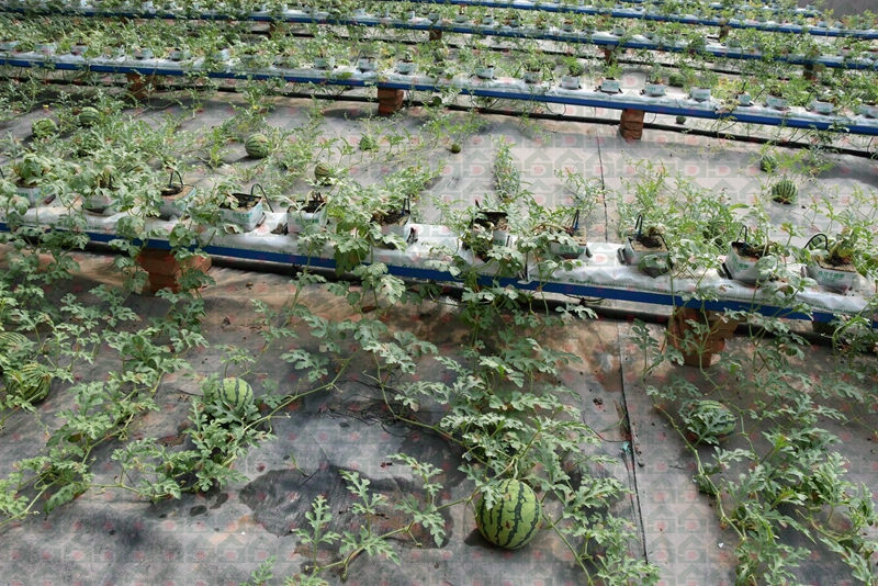 �r������