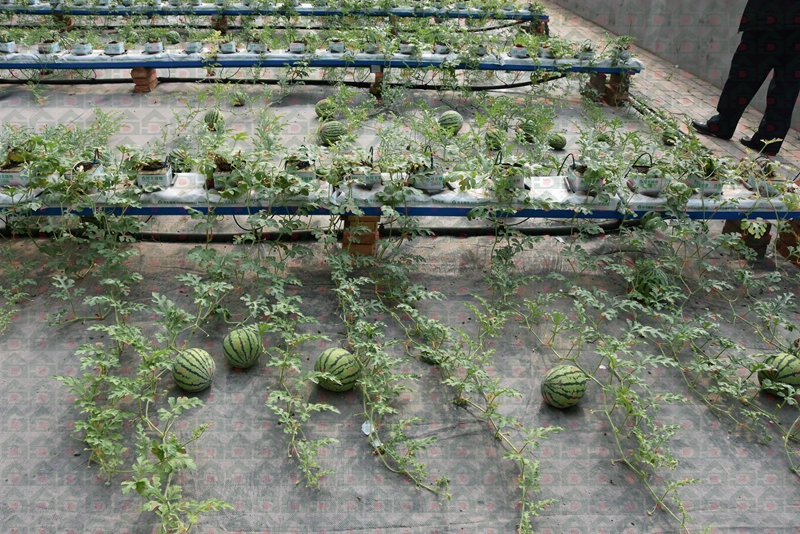 �r������