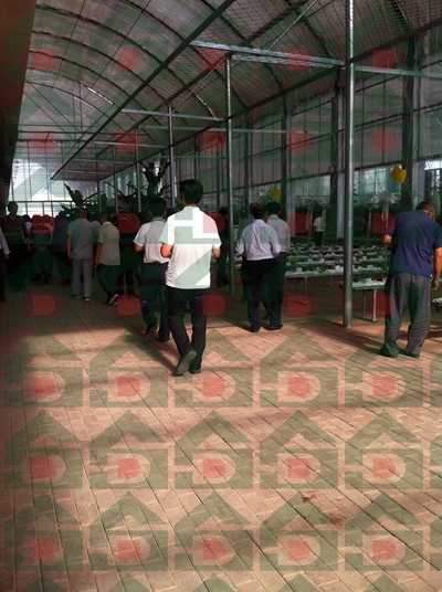 ʢ��Դ�r(n��ng)�Îr��