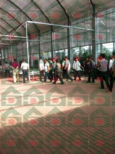 ʢ��Դ�r(n��ng)�Îr��