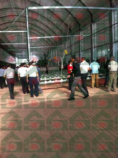 ʢ��Դ�r(n��ng)�Îr��